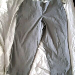Dalia pull on blue pinstripe capri sz 18W pants
